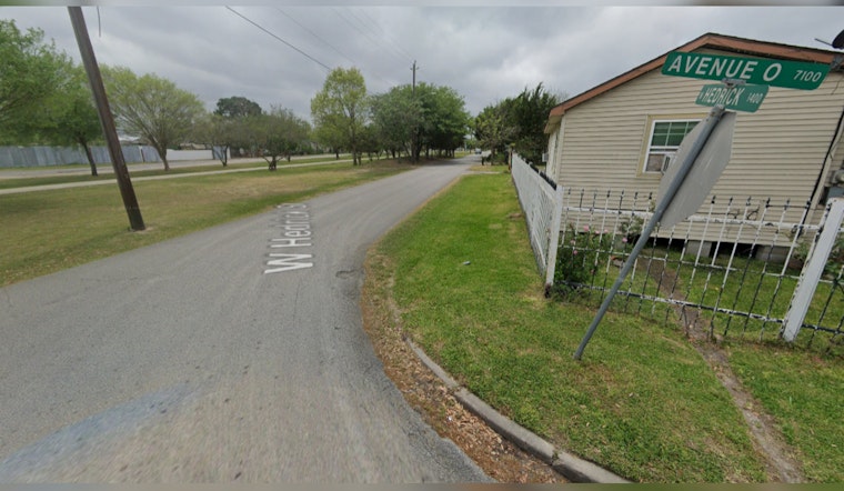 Southeast Houston Mother Tragically Killed by Fallen Tree Amidst Violent Storms