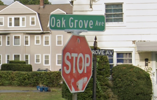 Springfield Police Arrest Suspect Troy Bryant in Broad Daylight Shooting on Boston Road