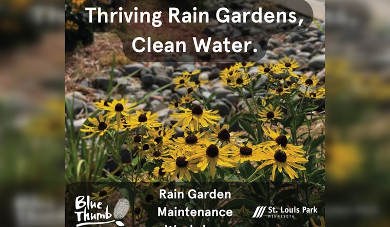 St. Louis Park Launches Rainwater Rewards Program, Urges Eco-Friendly Landscaping for Improved Stormwater Management