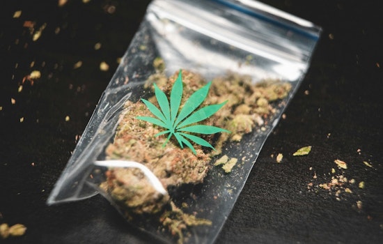 St. Paul's State Senator Hawj Hosts Cannabis Forum to Guide Local Producers Through Minnesota's New Regulations