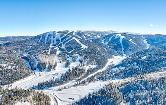 Sunrise Park Resort in Greer, Arizona, to Open Mountain Coaster This Summer for Unique Thrills