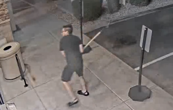Surprise Police Seek Public's Help to Identify 'Croc Bandit' Suspected of Vandalizing Businesses