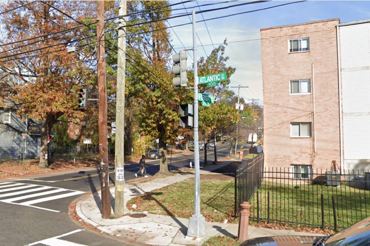 Suspect Arrested in Bizarre New Year's Dog-Napping Case in Washington D.C.