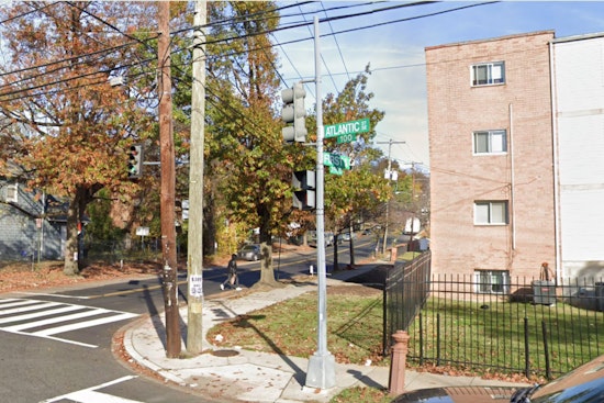 Suspect Arrested in Bizarre New Year's Dog-Napping Case in Washington D.C.