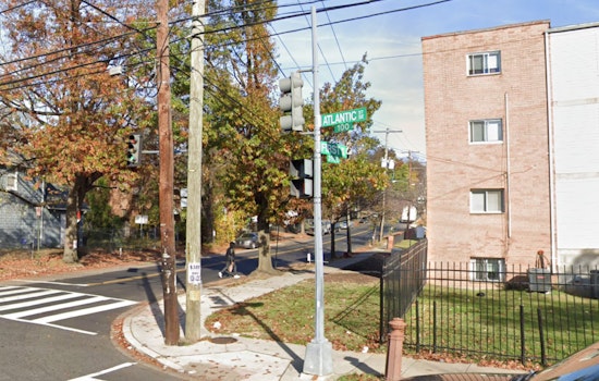 Suspect Arrested in Bizarre New Year's Dog-Napping Case in Washington D.C.