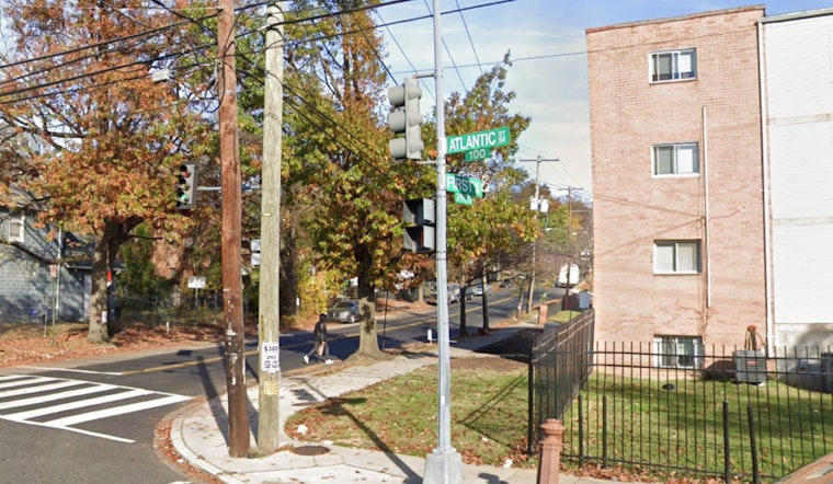 Suspect Arrested in Bizarre New Year's Dog-Napping Case in Washington D.C.