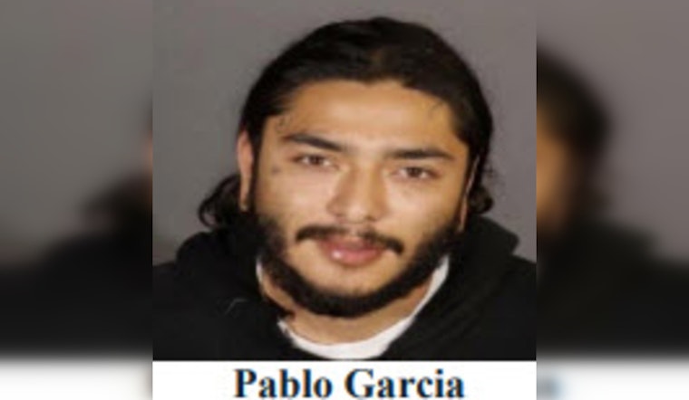 Suspect Arrested in Violent Daylight Rolex Robbery in Downtown Los Angeles