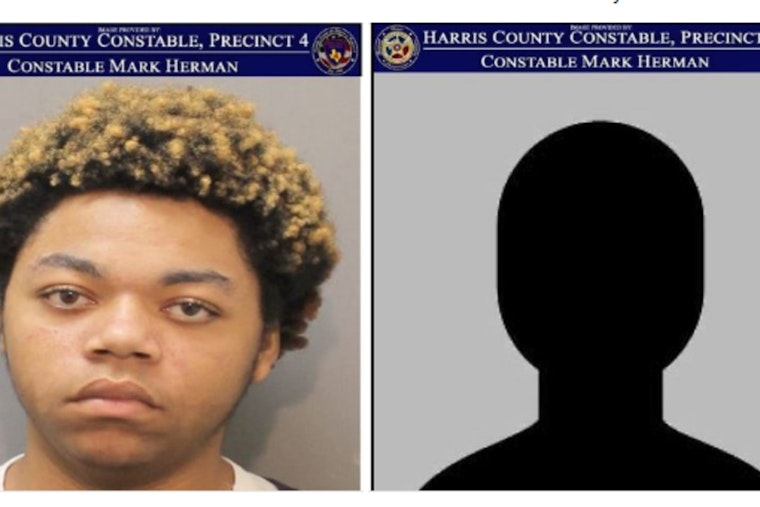 Teen Among Two Suspects Arrested for Vandalism and Burglary at Harris County Business