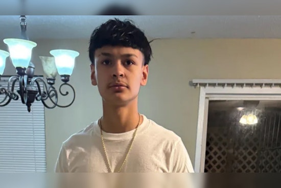 Teen Killed in Brea Crest Road Rage Incident, Harris County Sheriff's Office Seeks Information