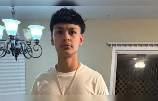Teen Killed in Brea Crest Road Rage Incident, Harris County Sheriff's Office Seeks Information