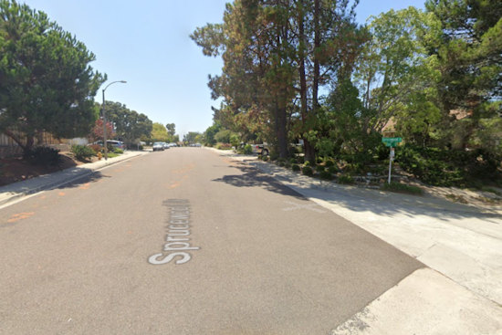 Teenager Arrested on Homicide Charges in Stabbing Death of Brother in Encinitas