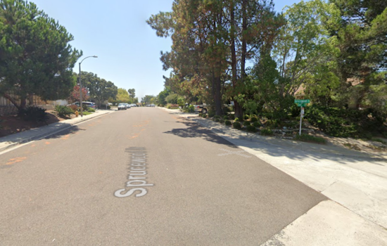 Teenager Arrested on Homicide Charges in Stabbing Death of Brother in Encinitas