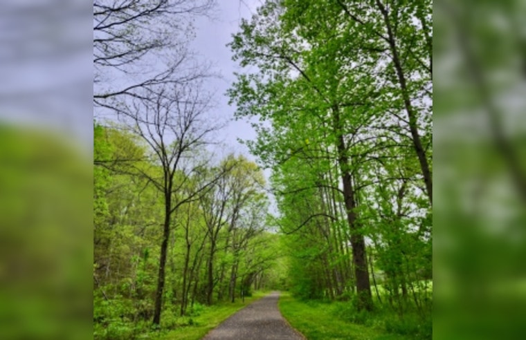 Tennessee Boosts Urban Greenery with Fresh Funding for Community Forests