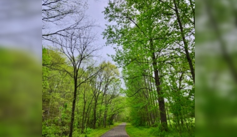 Tennessee Boosts Urban Greenery with Fresh Funding for Community Forests