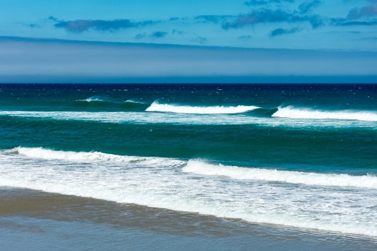 Tennessee Professor Missing in Brazil after Rogue Wave Disaster, Students Injured but Safe
