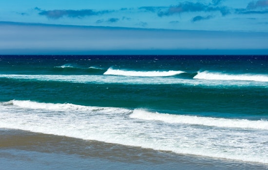 Tennessee Professor Missing in Brazil after Rogue Wave Disaster, Students Injured but Safe