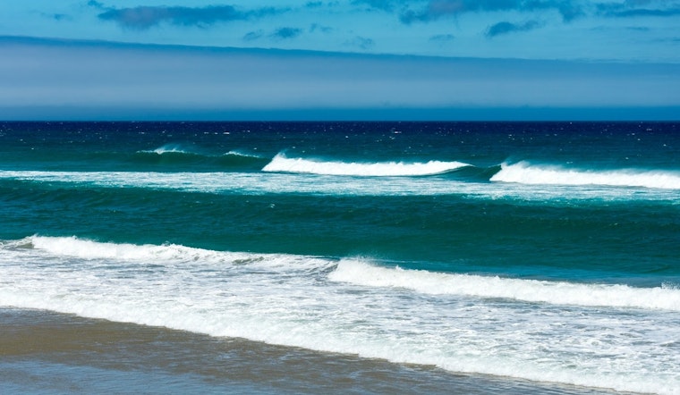 Tennessee Professor Missing in Brazil after Rogue Wave Disaster, Students Injured but Safe