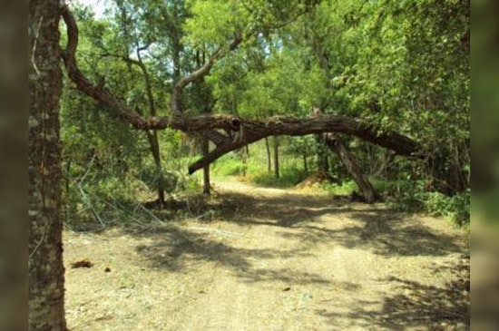 Texas Parks and Wildlife Department Invests $4.5 Million in Statewide Trail Enhancements