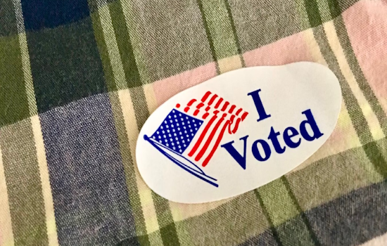 Texas Voters at Polls for Key Runoffs Shaping State's Political and Educational Future