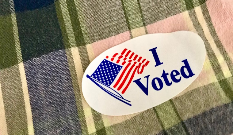 Texas Voters at Polls for Key Runoffs Shaping State's Political and Educational Future