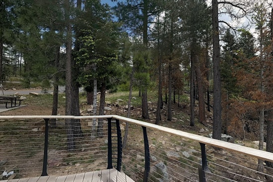 Tonto National Forest in Arizona Imposes Stage 1 Fire Restrictions, Bans Recreational Shooting Amid Wildfire Threat