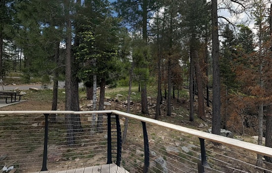 Tonto National Forest in Arizona Imposes Stage 1 Fire Restrictions, Bans Recreational Shooting Amid Wildfire Threat