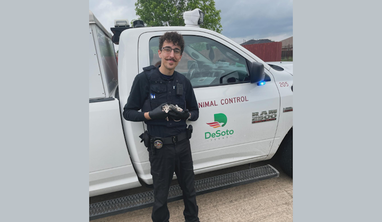Tri-City Animal Shelter Saves Orphaned Opossums, DeSoto Police Assist in Rescue Effort
