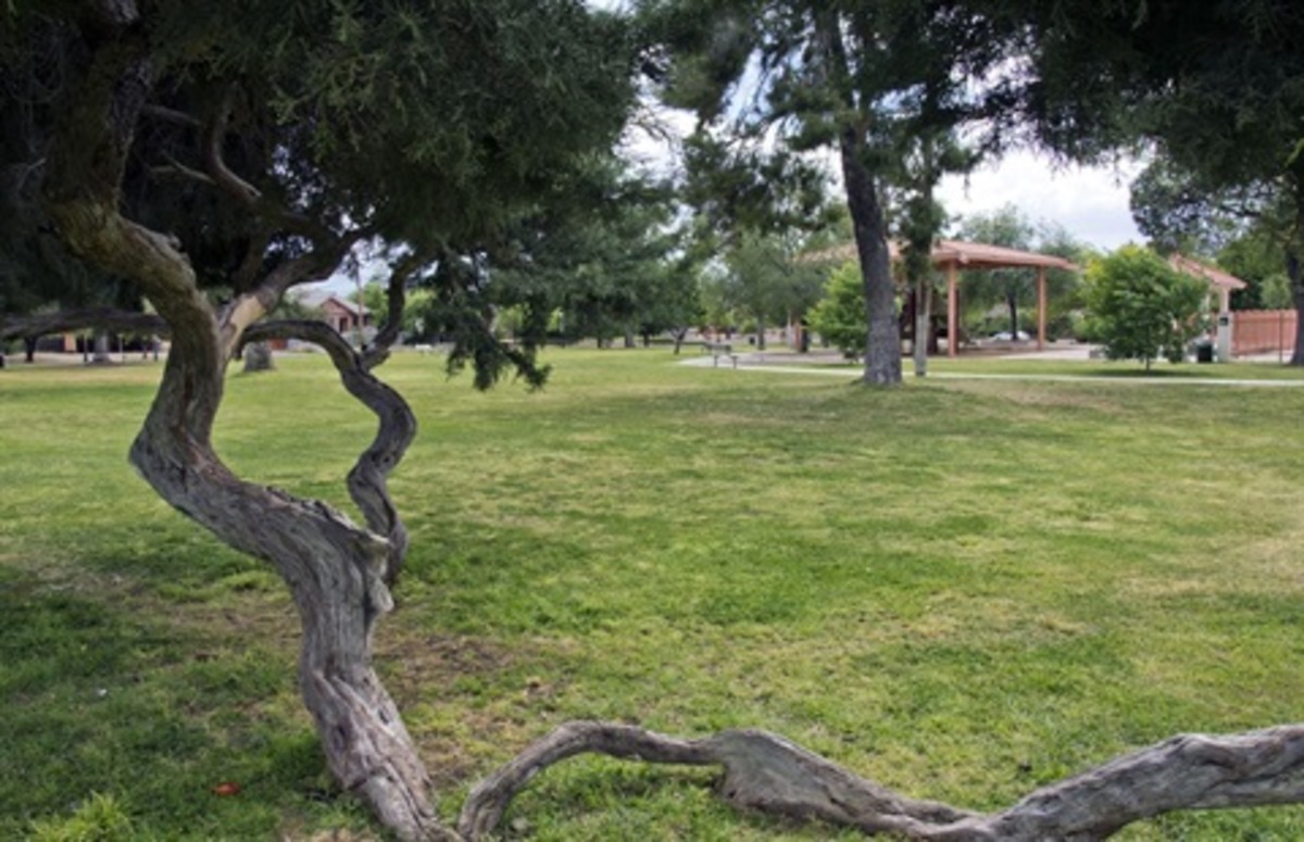 Tucson Parks and Recreation Launches Open House Series to Boost