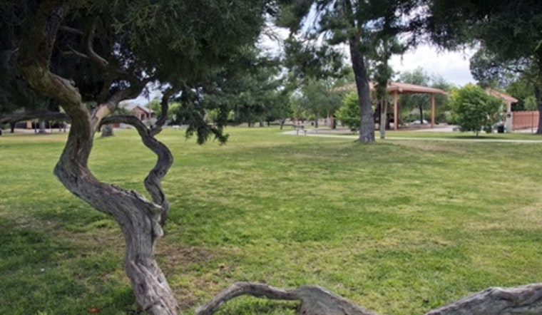 Tucson Parks and Recreation Launches Open House Series to Boost Community Engagement