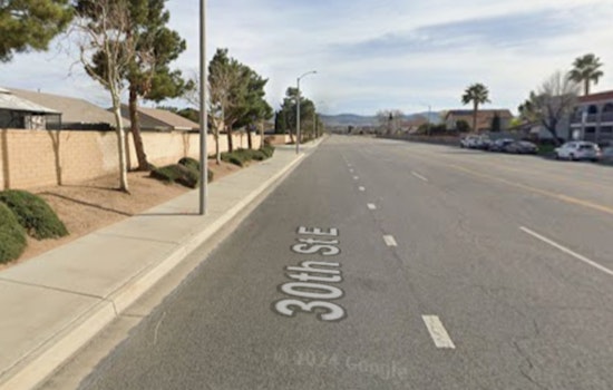 Two Dead in Palmdale After Nissan Altima Striking Tree, LASD Seeks Witnesses