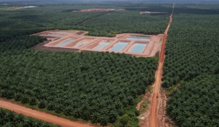 UMass Study Reveals Oil Palm Plantations Deteriorate Water Quality in West Papua's Indigenous Territories