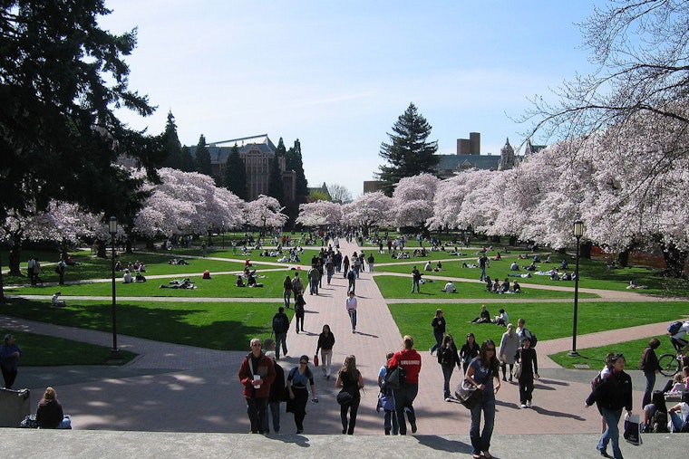 University of Washington Settles with Pro-Palestine Protesters, Ends Encampment Standoff in Seattle