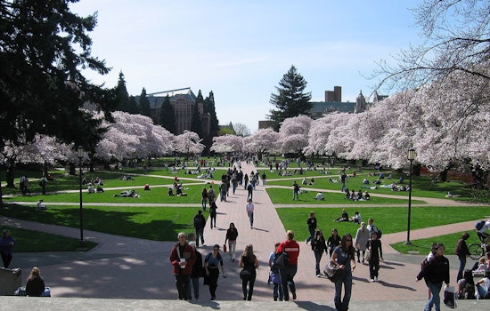University of Washington Settles with Pro-Palestine Protesters, Ends Encampment Standoff in Seattle