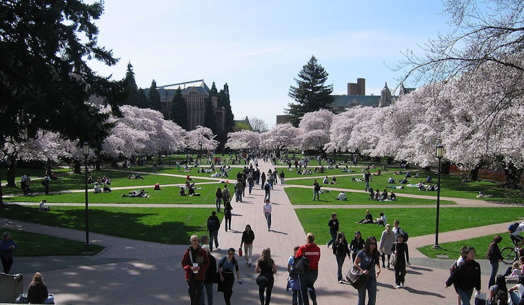 University of Washington Settles with Pro-Palestine Protesters, Ends Encampment Standoff in Seattle