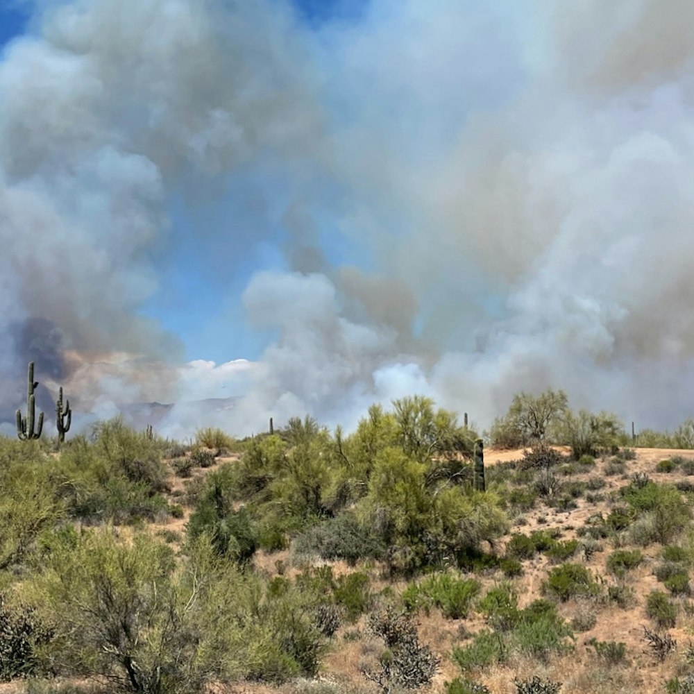 Unyielding Winds Fan Wildcat Fire to Over 13,000 Acres in Tonto National Forest, Zero Containment Achieved as Evacuations Ensue