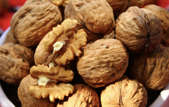 Washington and California Health Officials Warn of E. coli Outbreak Linked to Organic Walnuts