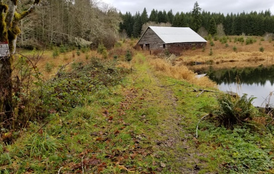 Washington Department of Fish and Wildlife Plans Removal of Talbot Dam to Restore Salmon Habitat