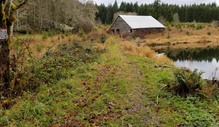 Washington Department of Fish and Wildlife Plans Removal of Talbot Dam to Restore Salmon Habitat