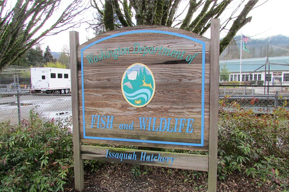 Washington Fish and Wildlife Commission Approves Purchase of 672 Acres in Douglas County for Habitat Conservation