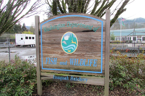 Washington Fish and Wildlife Commission Approves Purchase of 672 Acres in Douglas County for Habitat Conservation