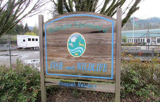 Washington Fish and Wildlife Commission Approves Purchase of 672 Acres in Douglas County for Habitat Conservation