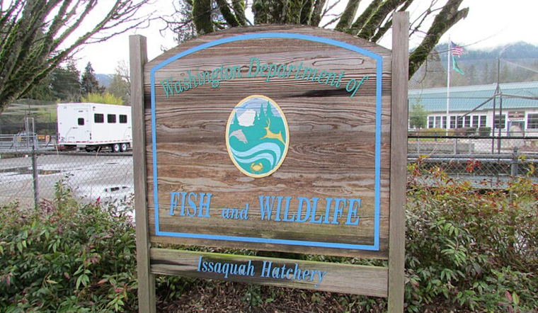 Washington Fish and Wildlife Commission Approves Purchase of 672 Acres in Douglas County for Habitat Conservation