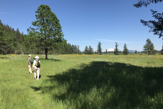 Washington Wildlife Agency Launches Drone Operation to Monitor Prairie Habitats in Clallam and Thurston Counties