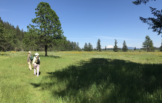 Washington Wildlife Agency Launches Drone Operation to Monitor Prairie Habitats in Clallam and Thurston Counties