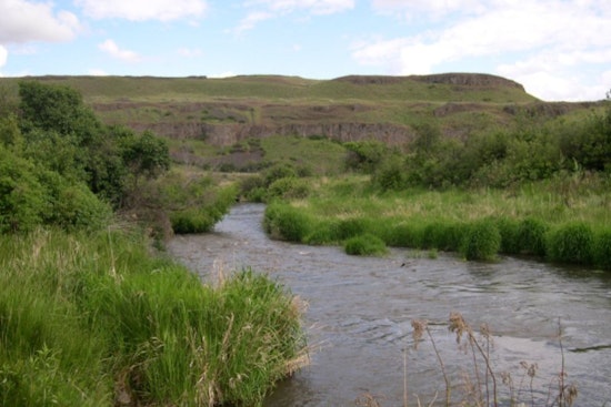 Washington’s Department of Ecology Proposes New Standards for Water Purity Amid EPA Setbacks
