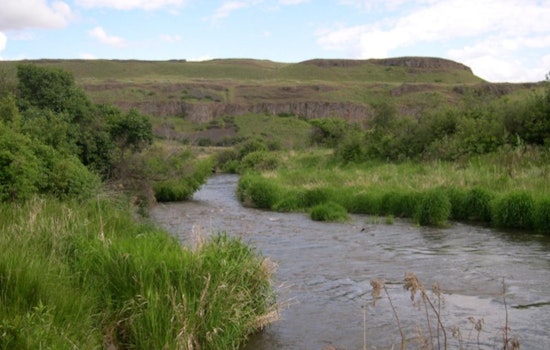 Washington’s Department of Ecology Proposes New Standards for Water Purity Amid EPA Setbacks