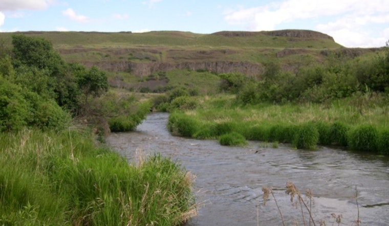 Washington’s Department of Ecology Proposes New Standards for Water Purity Amid EPA Setbacks