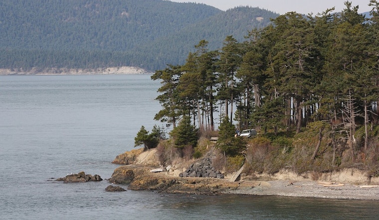 Washington's Forest Health Crisis, Douglas-fir Engraver Beetle Ravages Trees in Record Numbers