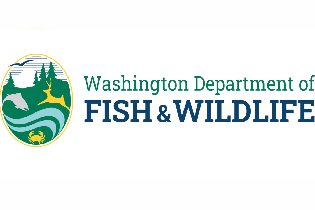 WDFW Announces Temporary Closure of Marine Area 13 in South Puget