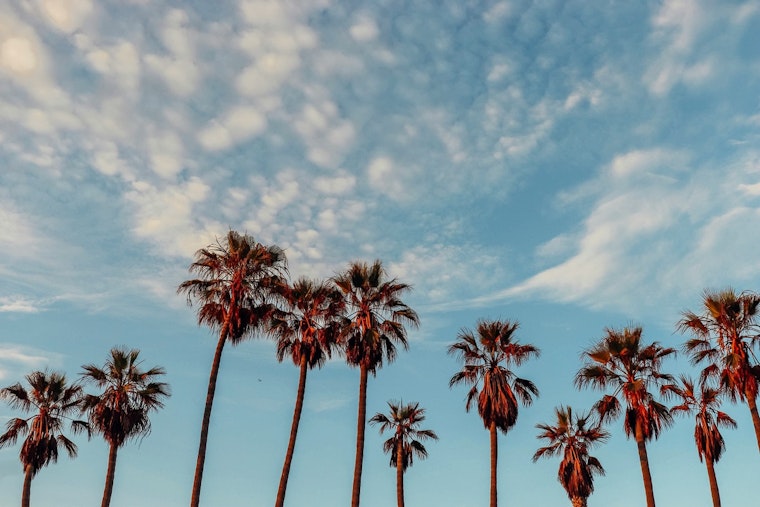 Week of Sunshine and Consistent Highs in the 70s Forecasted for Los Angeles